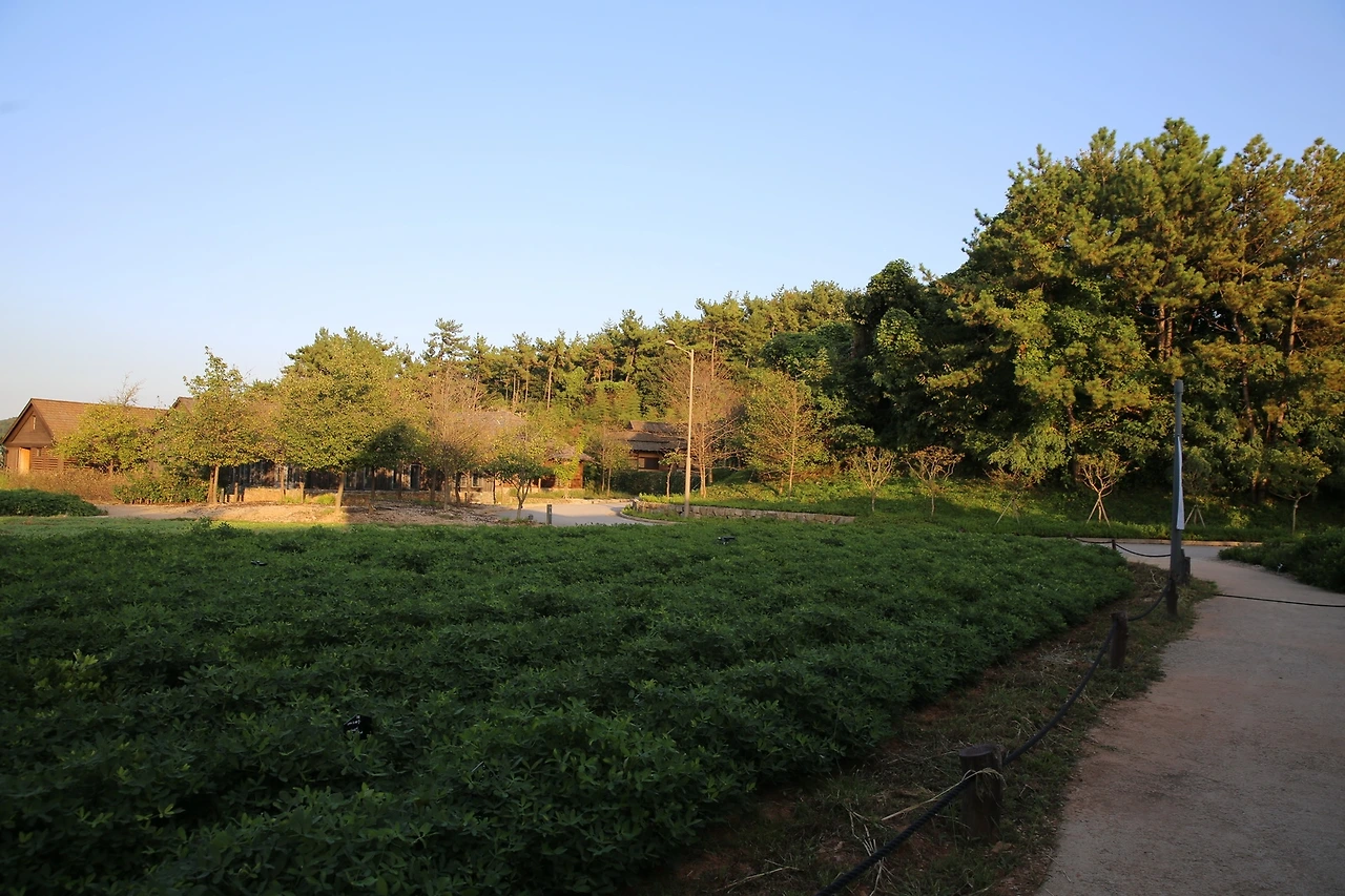 MG0A1389_новый размер.JPG