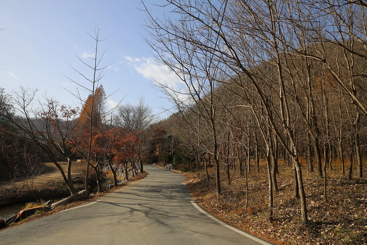 MG0A3669_новый размер.JPG