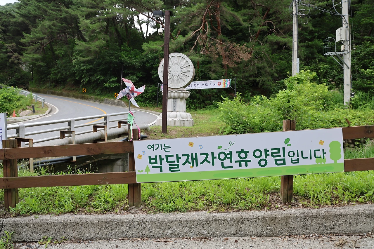 0R5A7414_новый размер.JPG