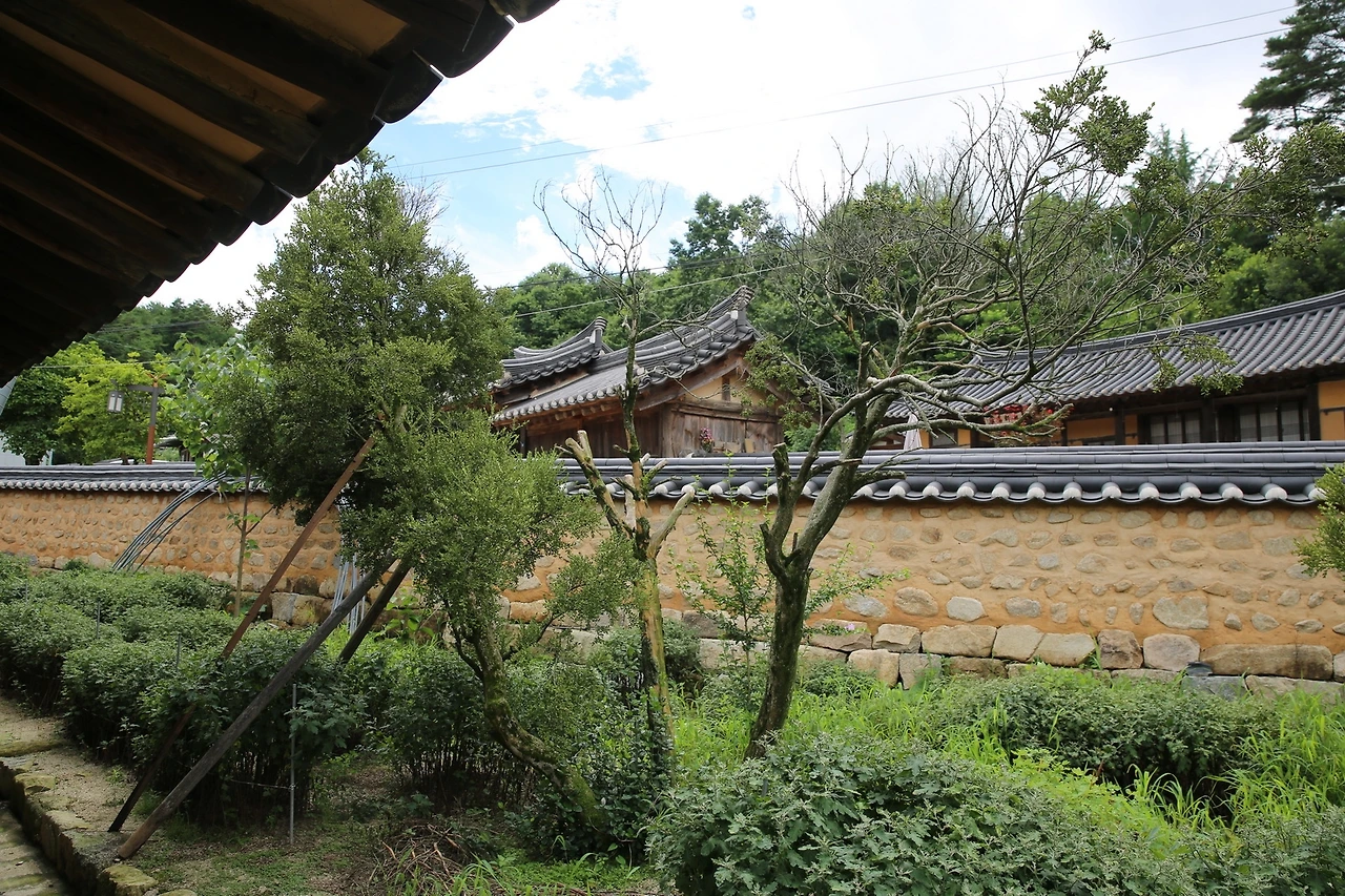 MG0A6667_новый размер.JPG