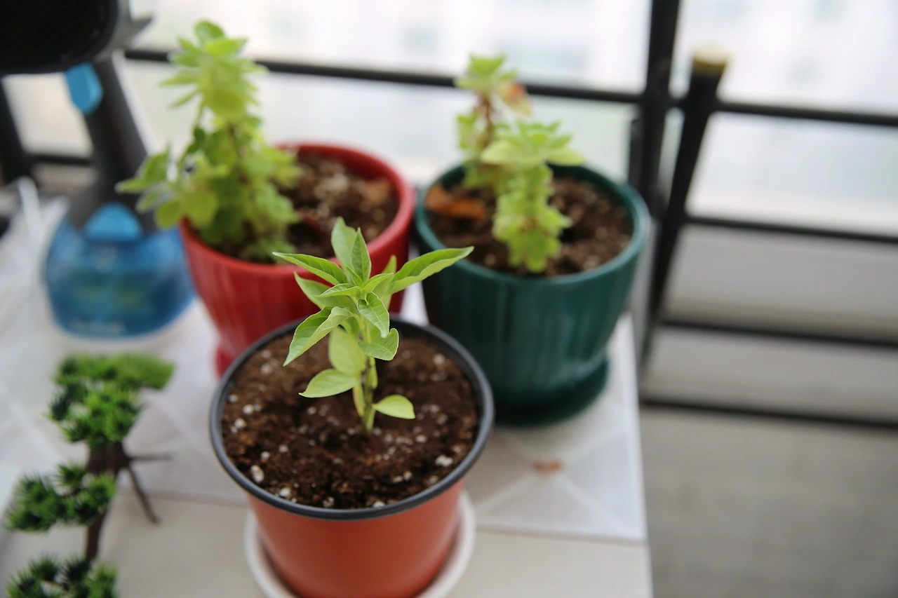 MG0A4511_новый размер.JPG