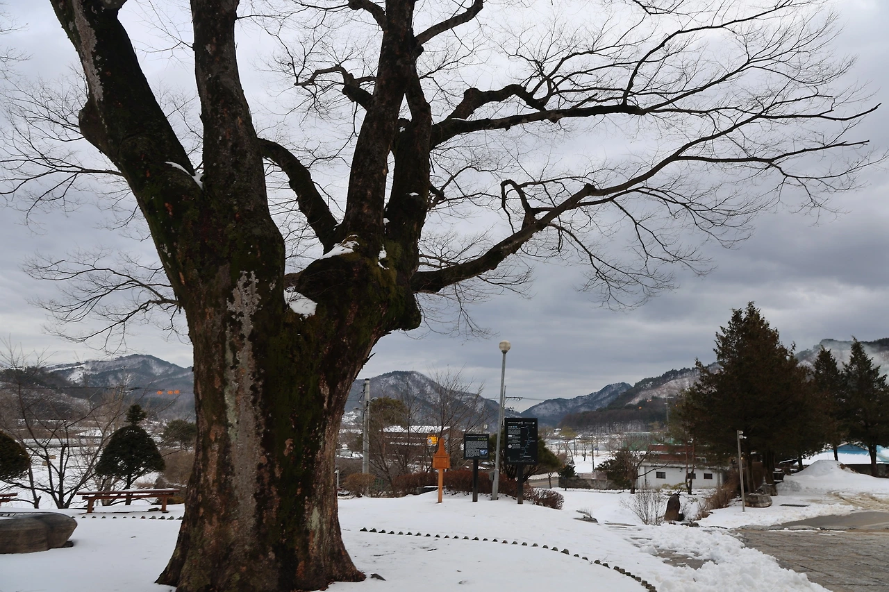 0R5A1691_новый размер.JPG