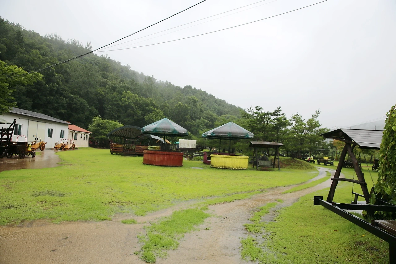 MG0A5235_новый размер_exposure.JPG