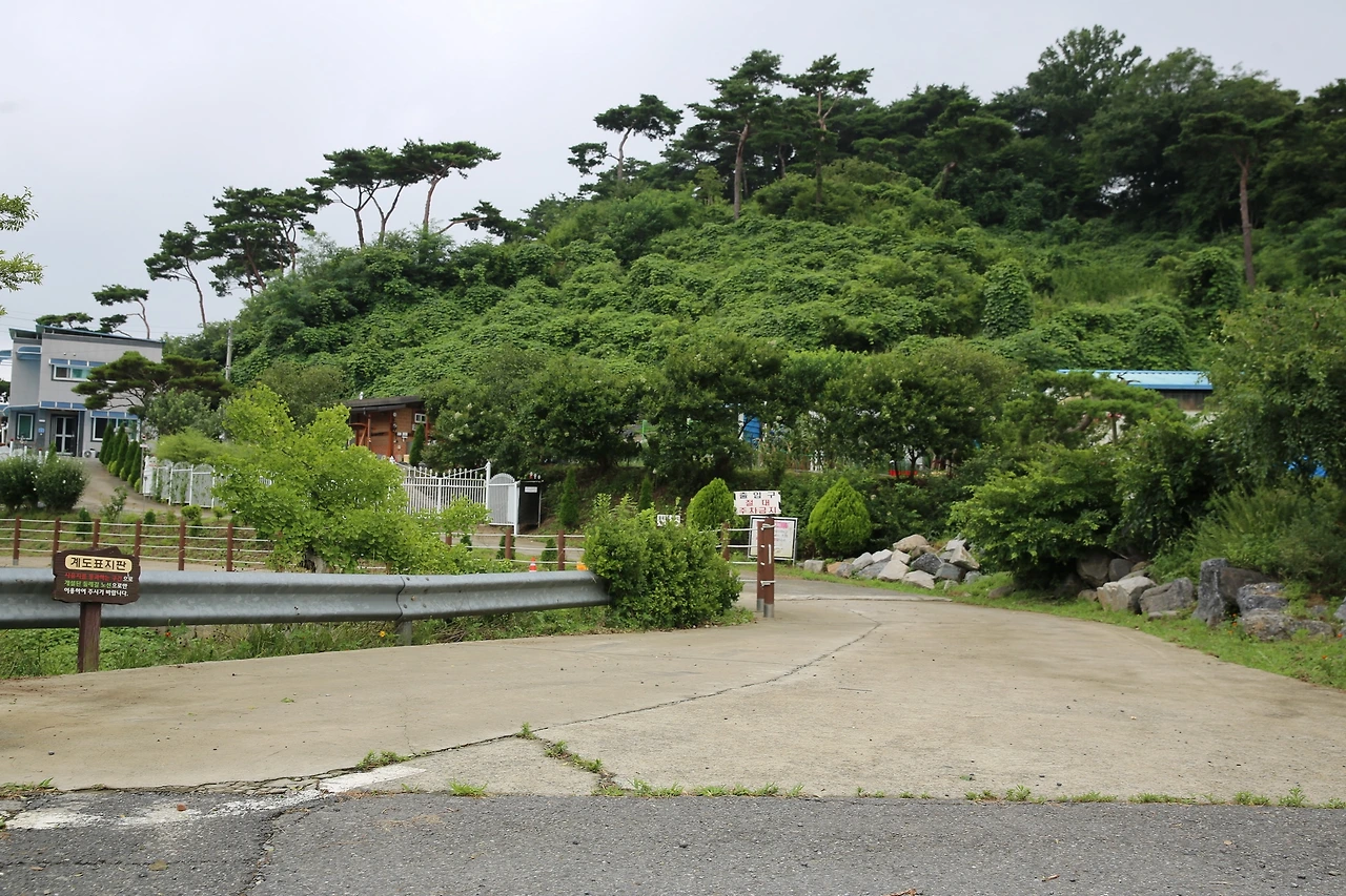 MG0A3574_новый размер.JPG