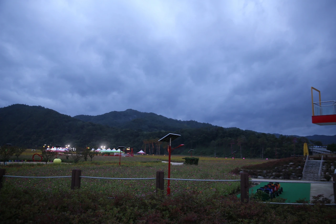 MG0A5778_новый размер.JPG