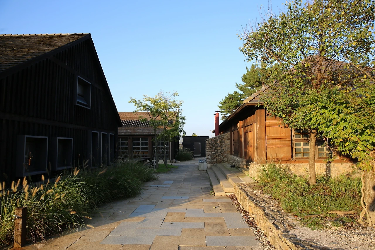 MG0A1394_новый размер.JPG