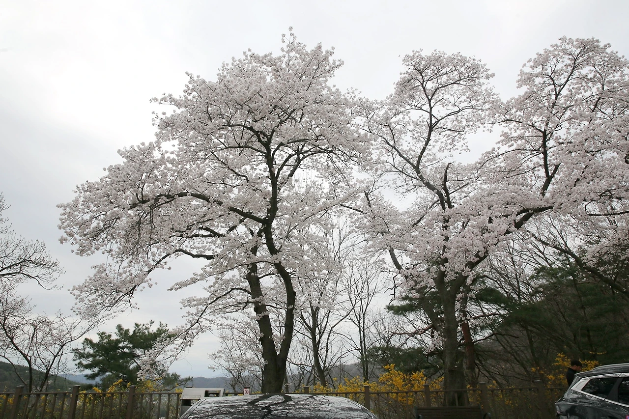 MG0A8191_новый размер_exposure.JPG