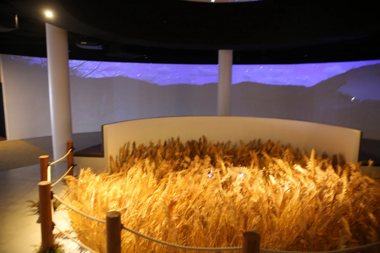 MG0A4431_новый размер.JPG