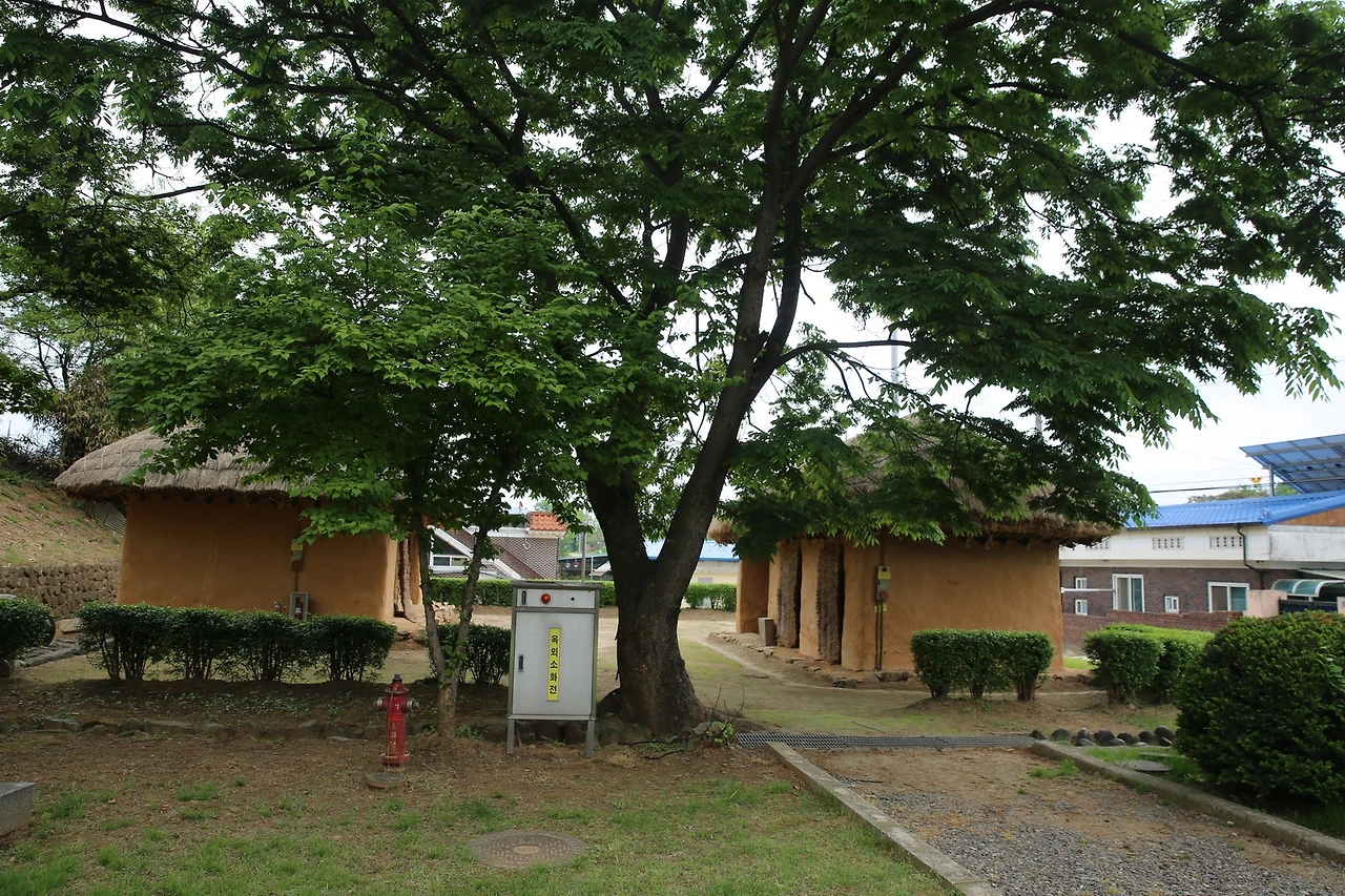 MG0A1451_новый размер.JPG