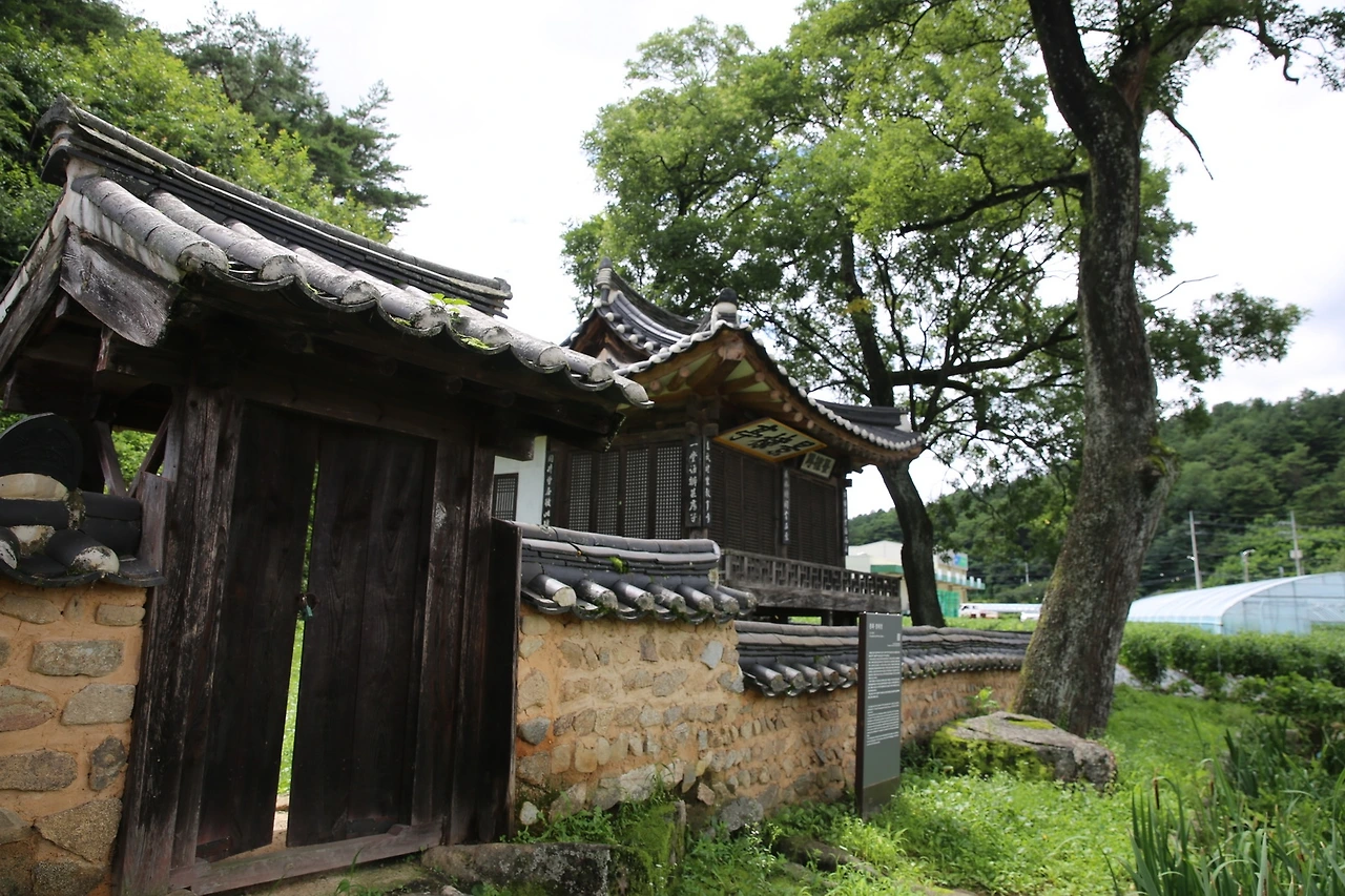 MG0A6657_новый размер.JPG