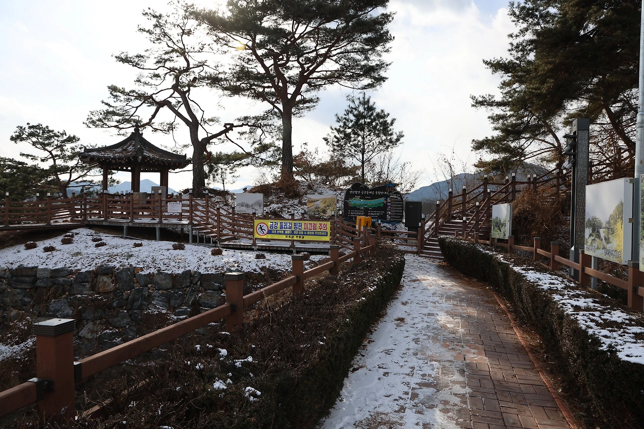 0R5A7929_новый размер.JPG