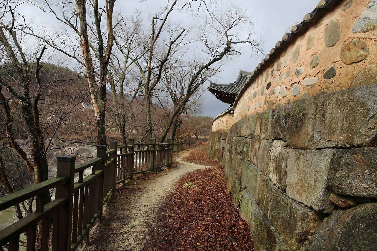 MG0A0282_новый размер.JPG