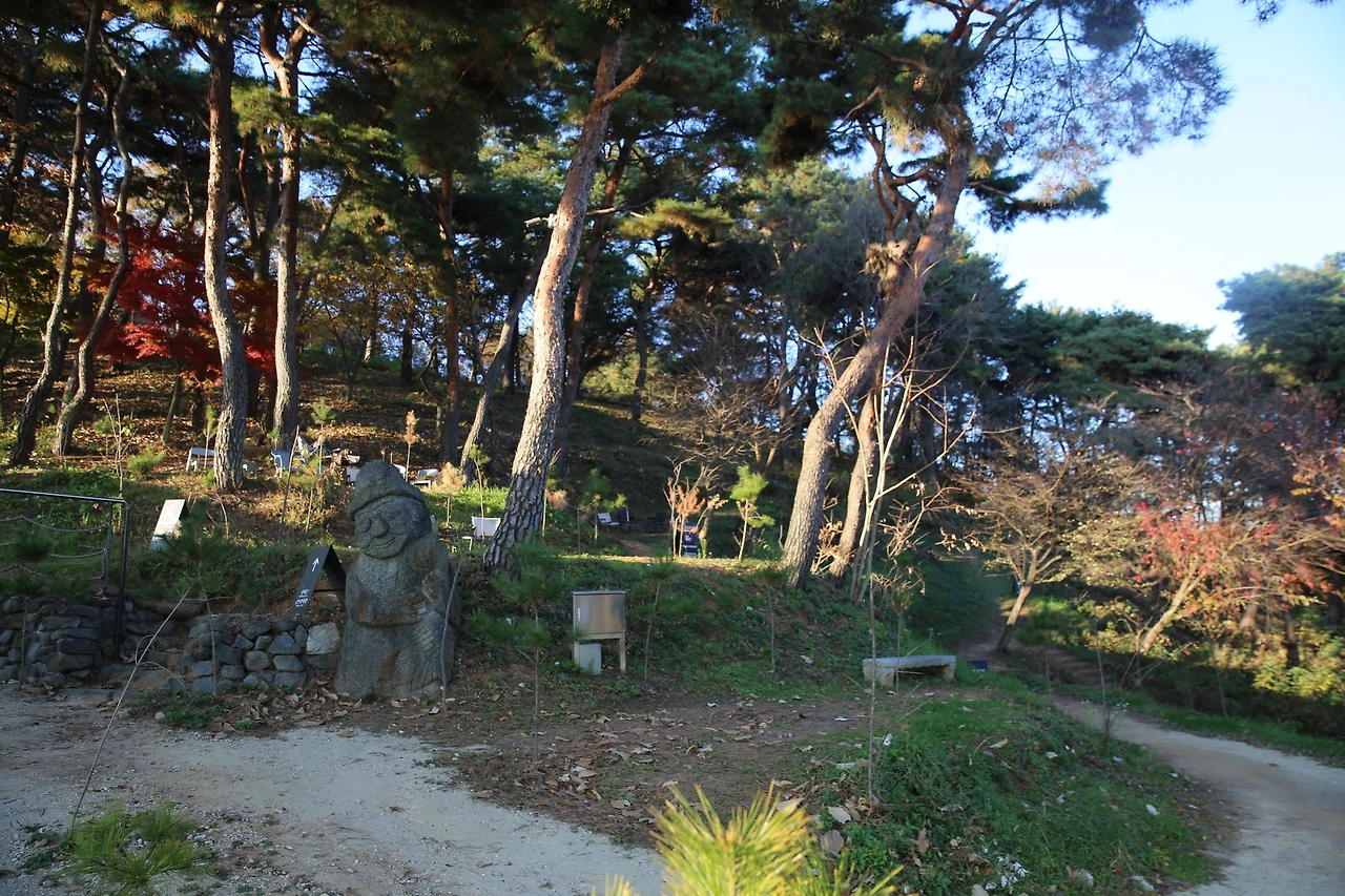 MG0A1374_новый размер.JPG