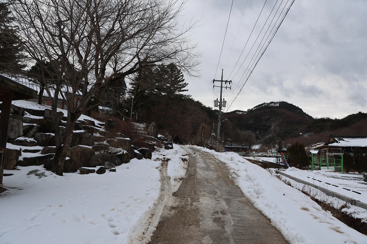 0R5A1685_новый размер.JPG