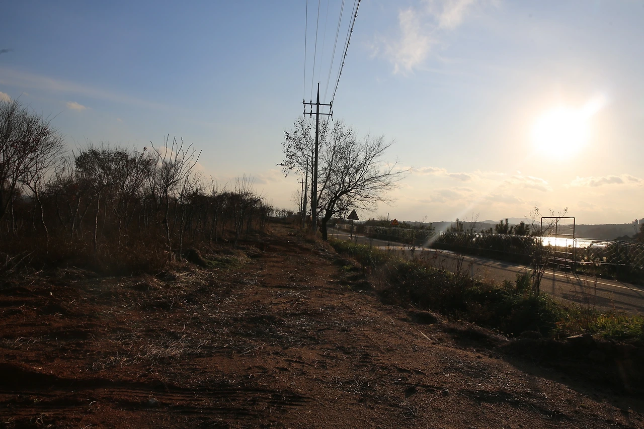 MG0A2948_новый размер.JPG