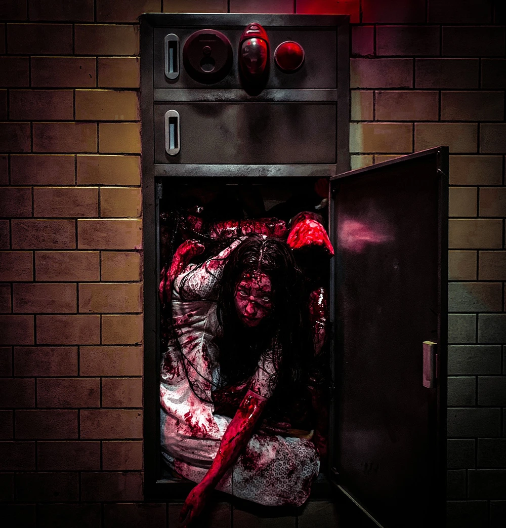 efe7dd946a07a5fc3de2ede92745e2194b2abf66.jfif