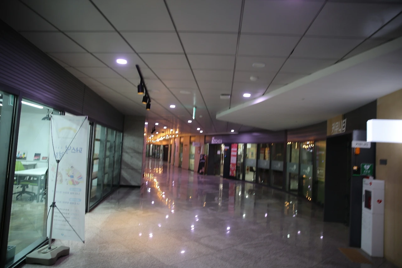 MG0A3469_новый размер.JPG