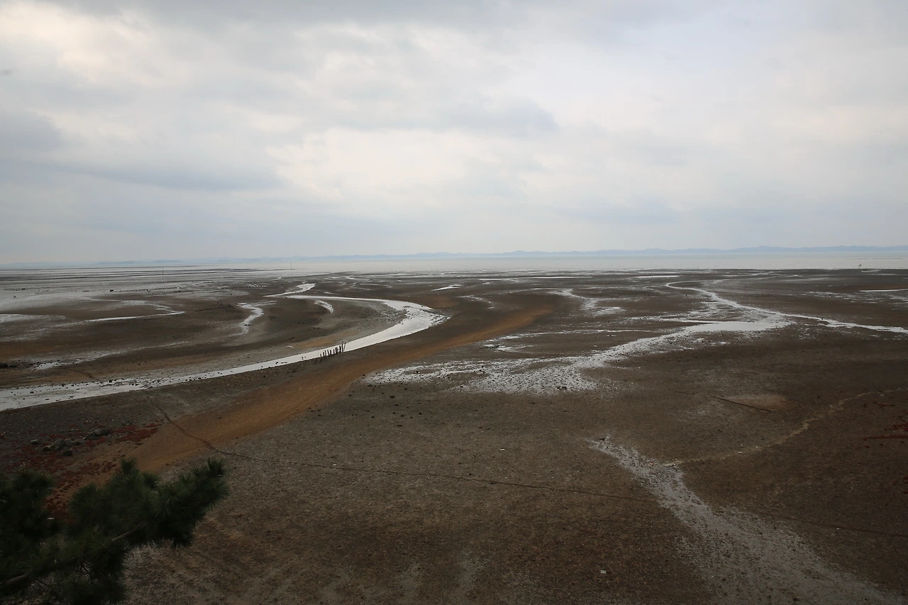 MG0A9322_новый размер.JPG