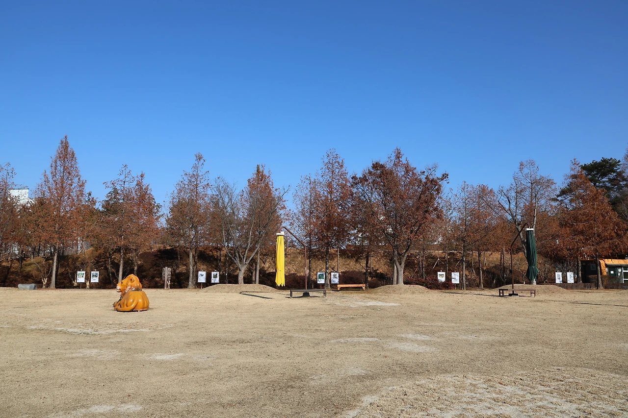 0R5A7425_новый размер.JPG