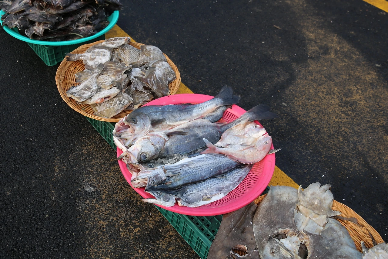 MG0A6623_новый размер.JPG