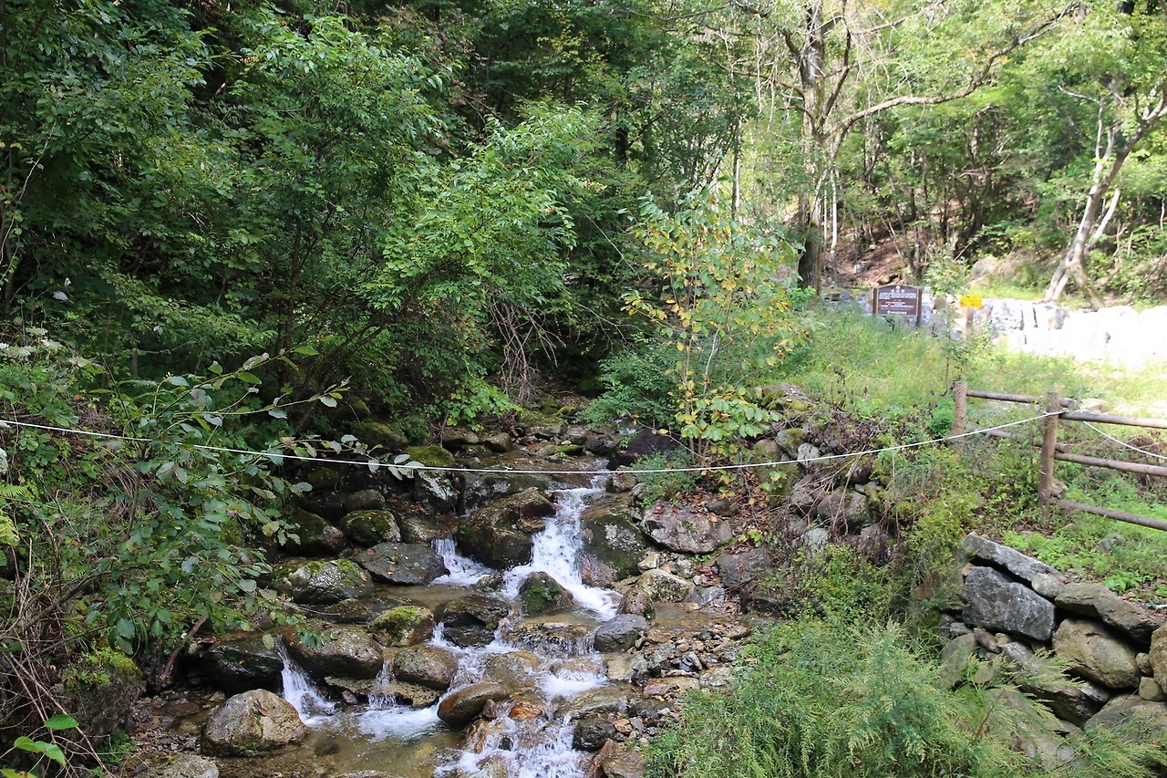 MG0A3931_новый размер.JPG