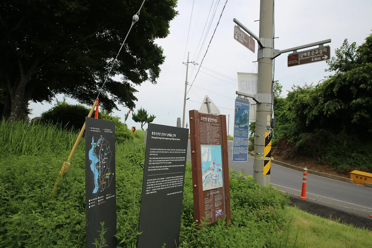 MG0A6073_новый размер.JPG