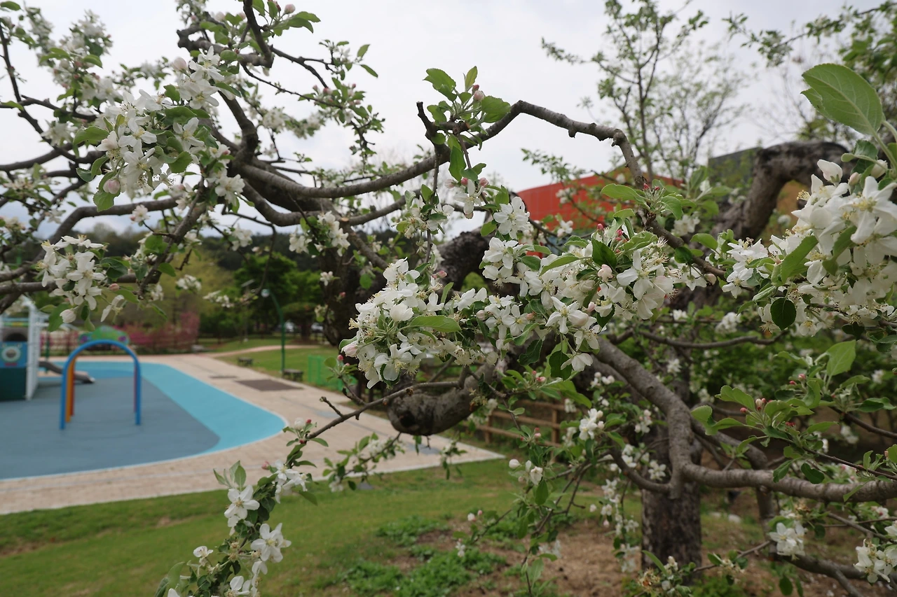 0R5A7564_новый размер.JPG