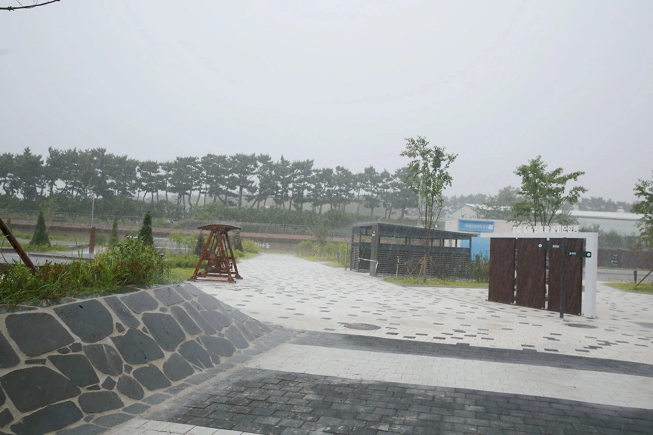 MG0A3373_новый размер_exposure.JPG