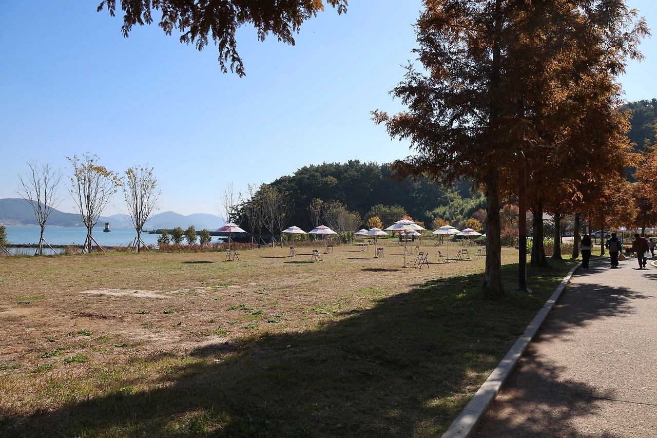 0R5A2711_новый размер.JPG