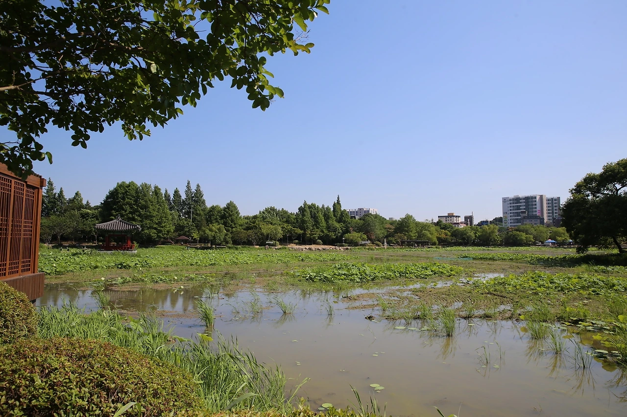 MG0A8928_новый размер.JPG