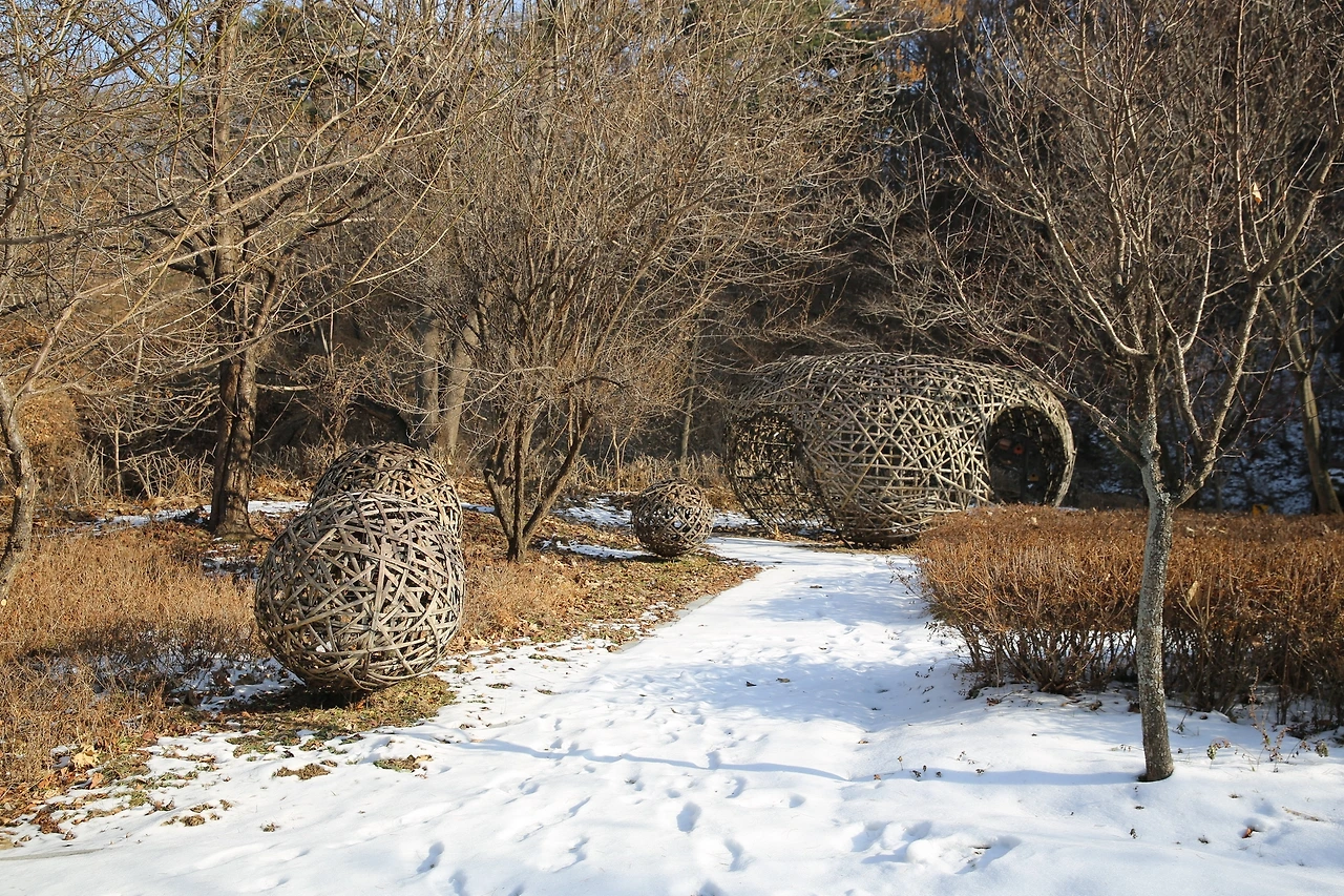 MG0A5595_новый размер.JPG