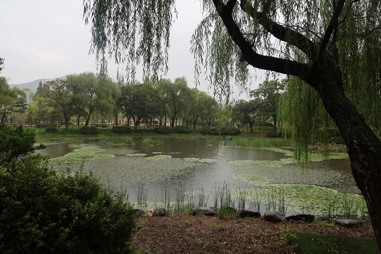 0R5A8073_новый размер.JPG