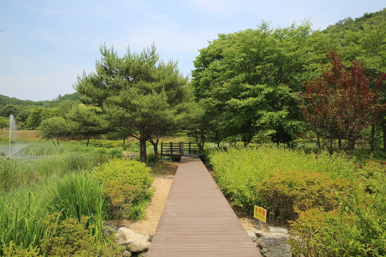 MG0A2425_новый размер.JPG