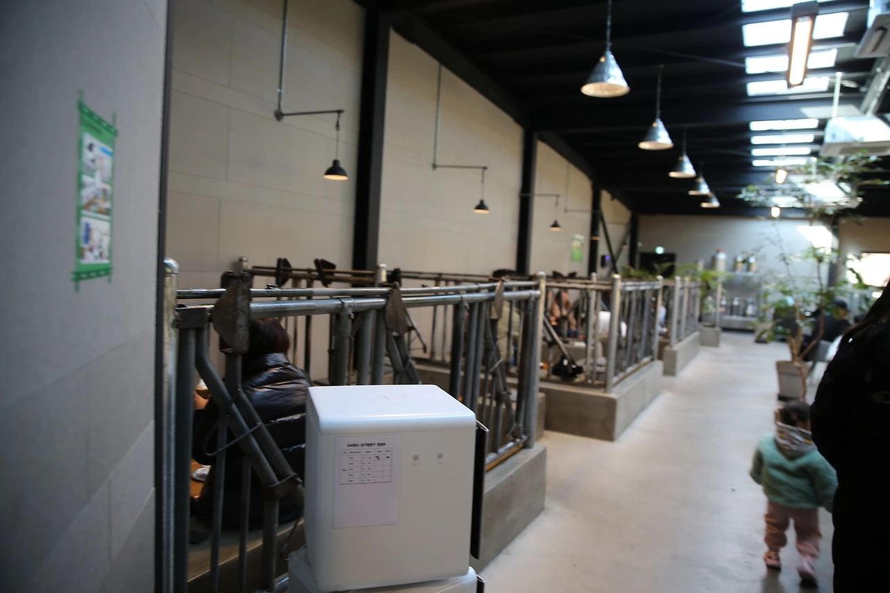 MG0A3436_новый размер.JPG