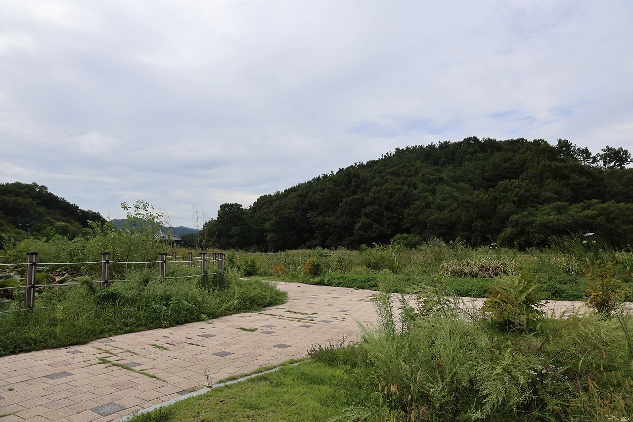 0R5A7749_новый размер.JPG