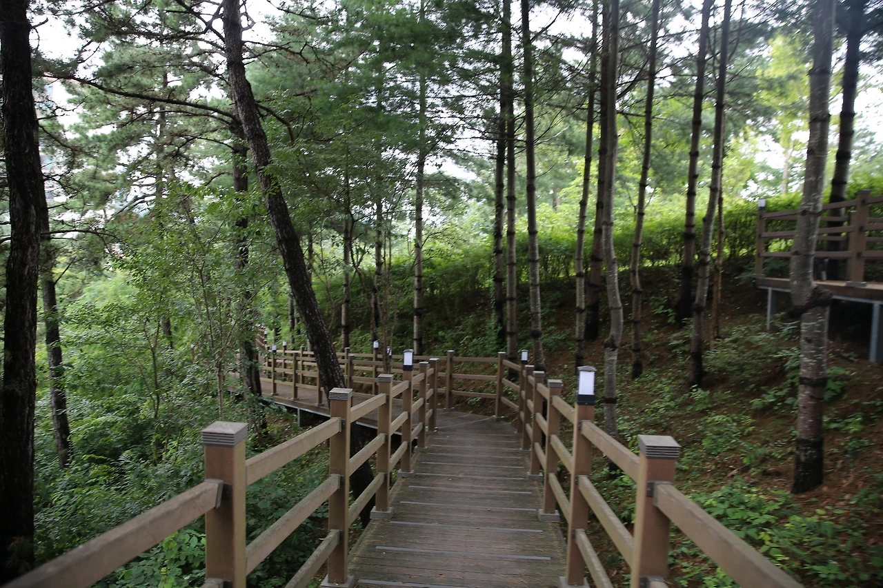 MG0A8721_новый размер.JPG