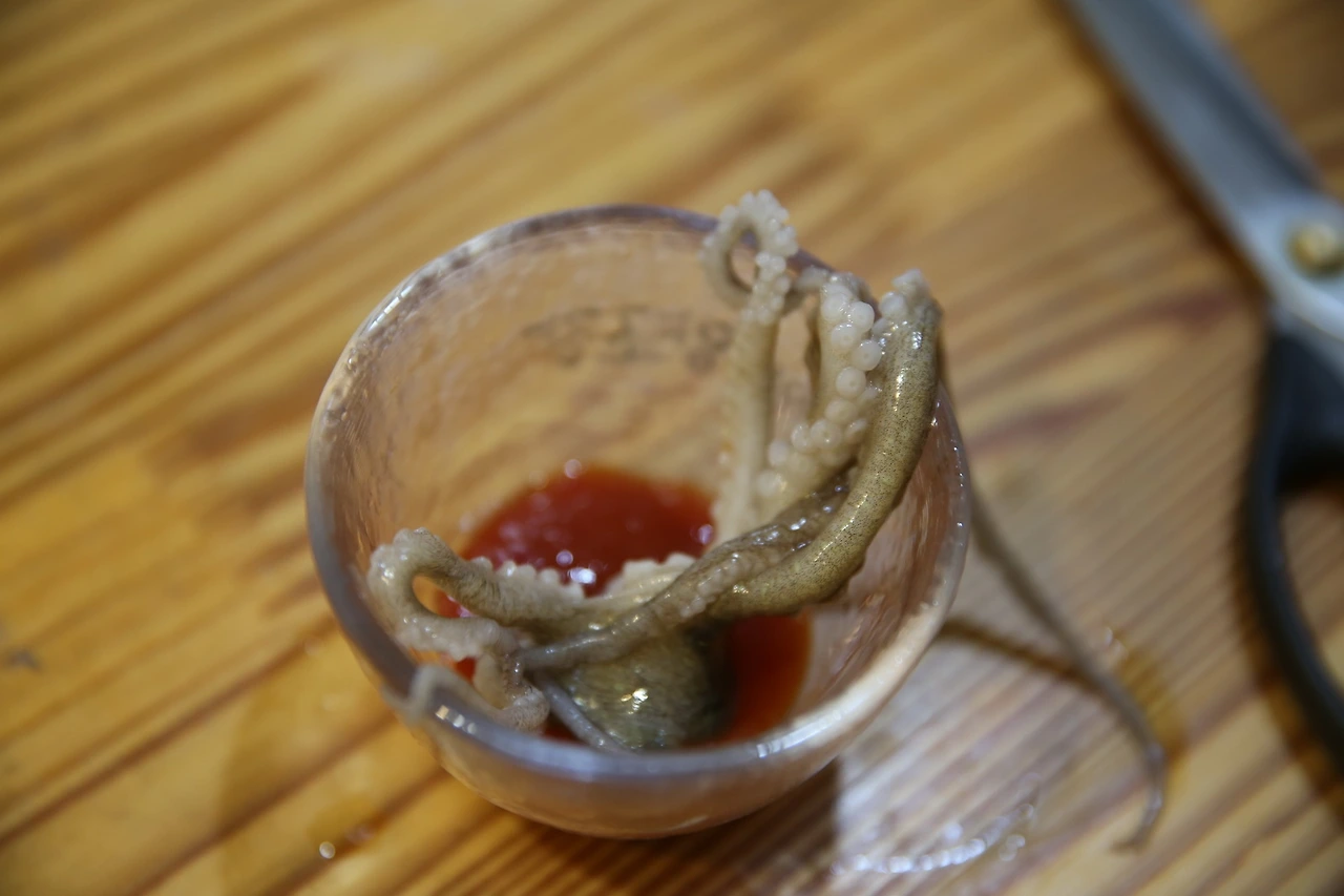 MG0A2425_новый размер.JPG