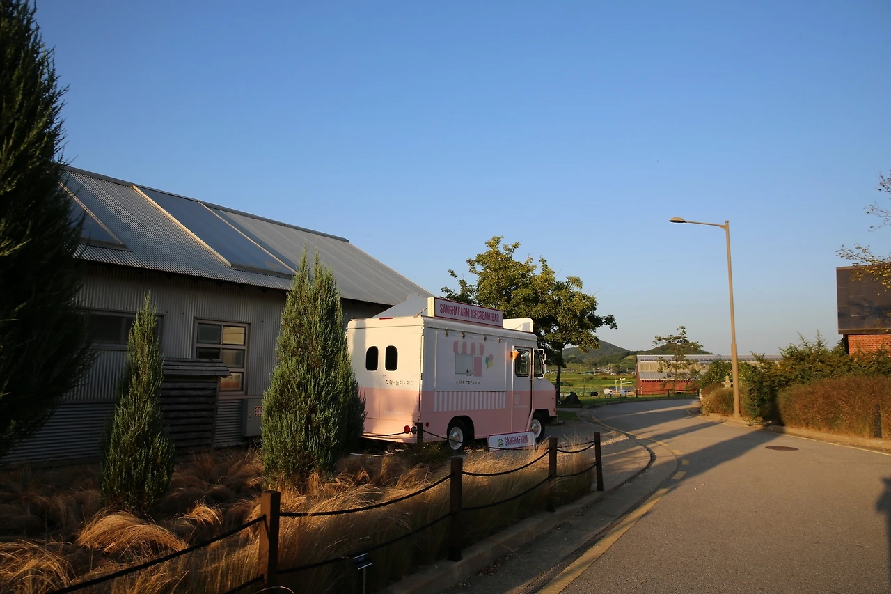 MG0A1401_новый размер.JPG