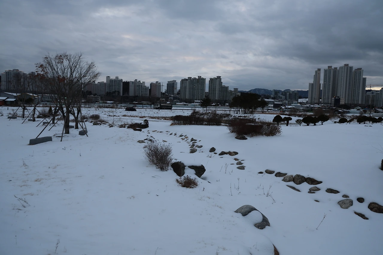 0R5A1769_новый размер.JPG