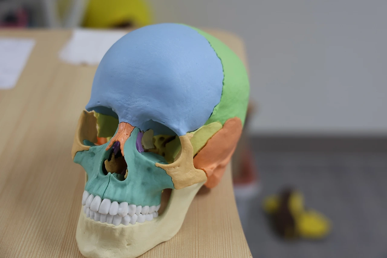 0R5A1461_новый размер.JPG