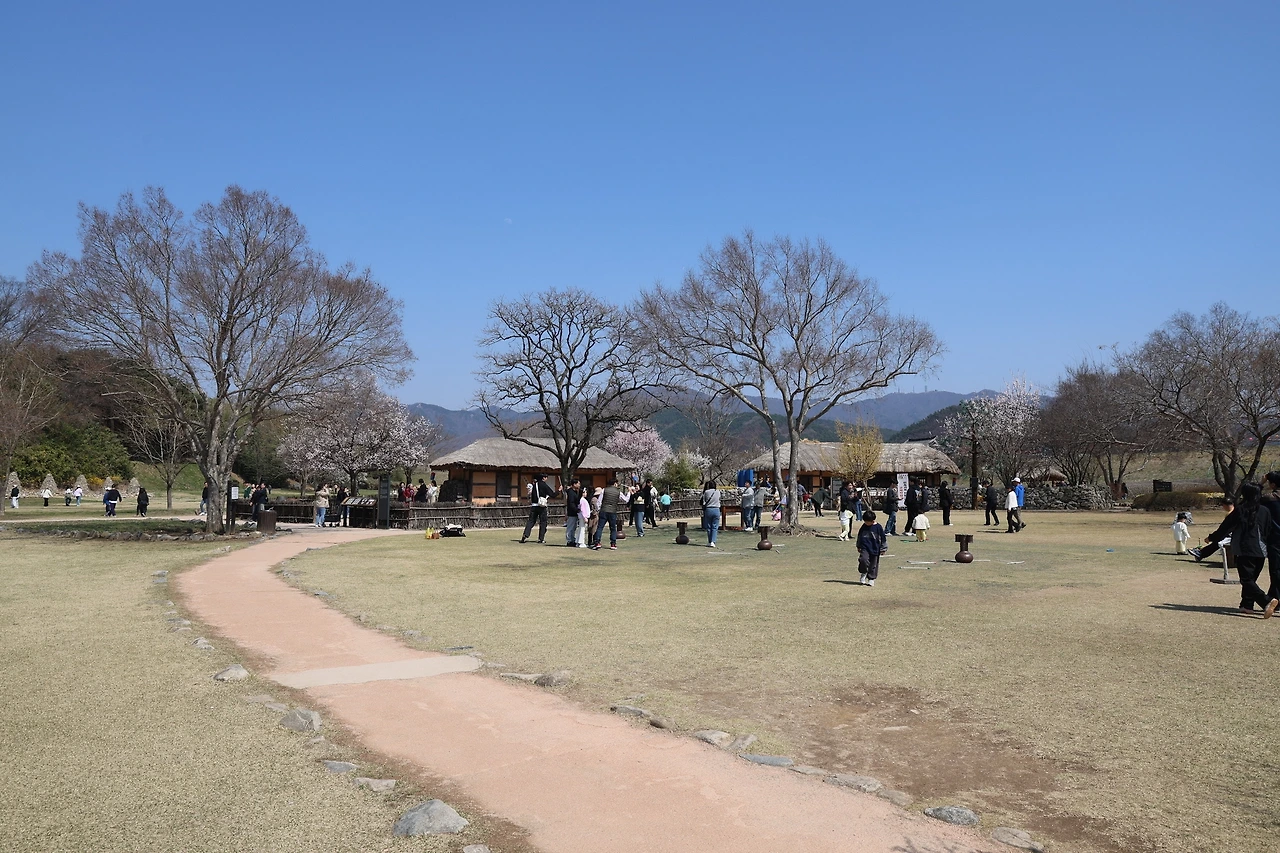 0R5A5982_новый размер.JPG