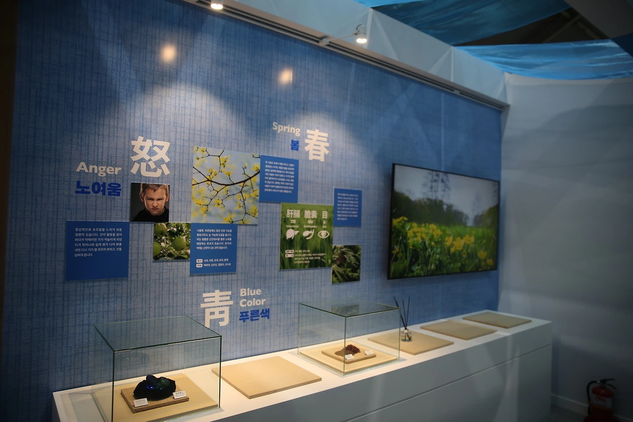 MG0A3173_новый размер.JPG