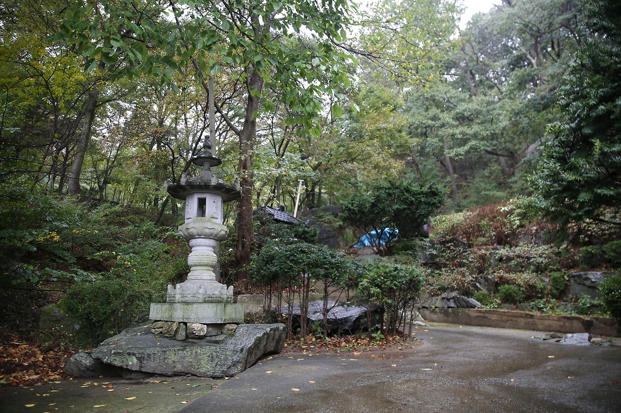 MG0A6709_новый размер.JPG