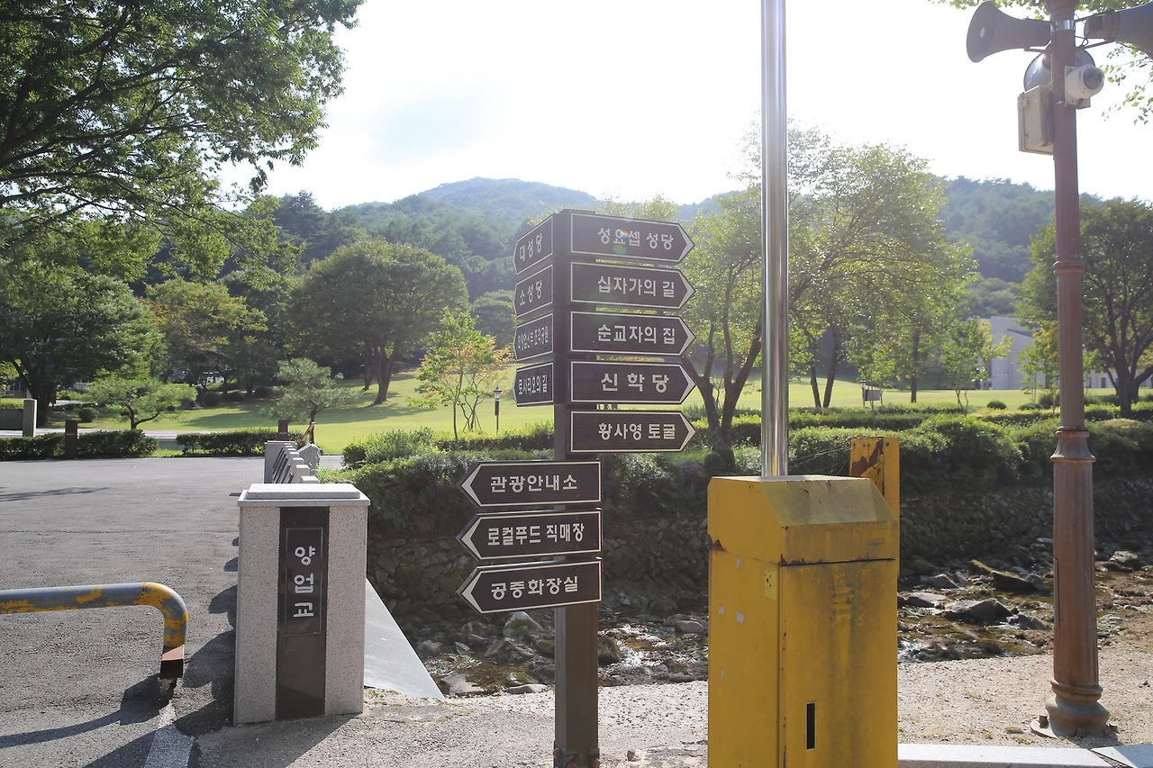 MG0A0507_новый размер.JPG