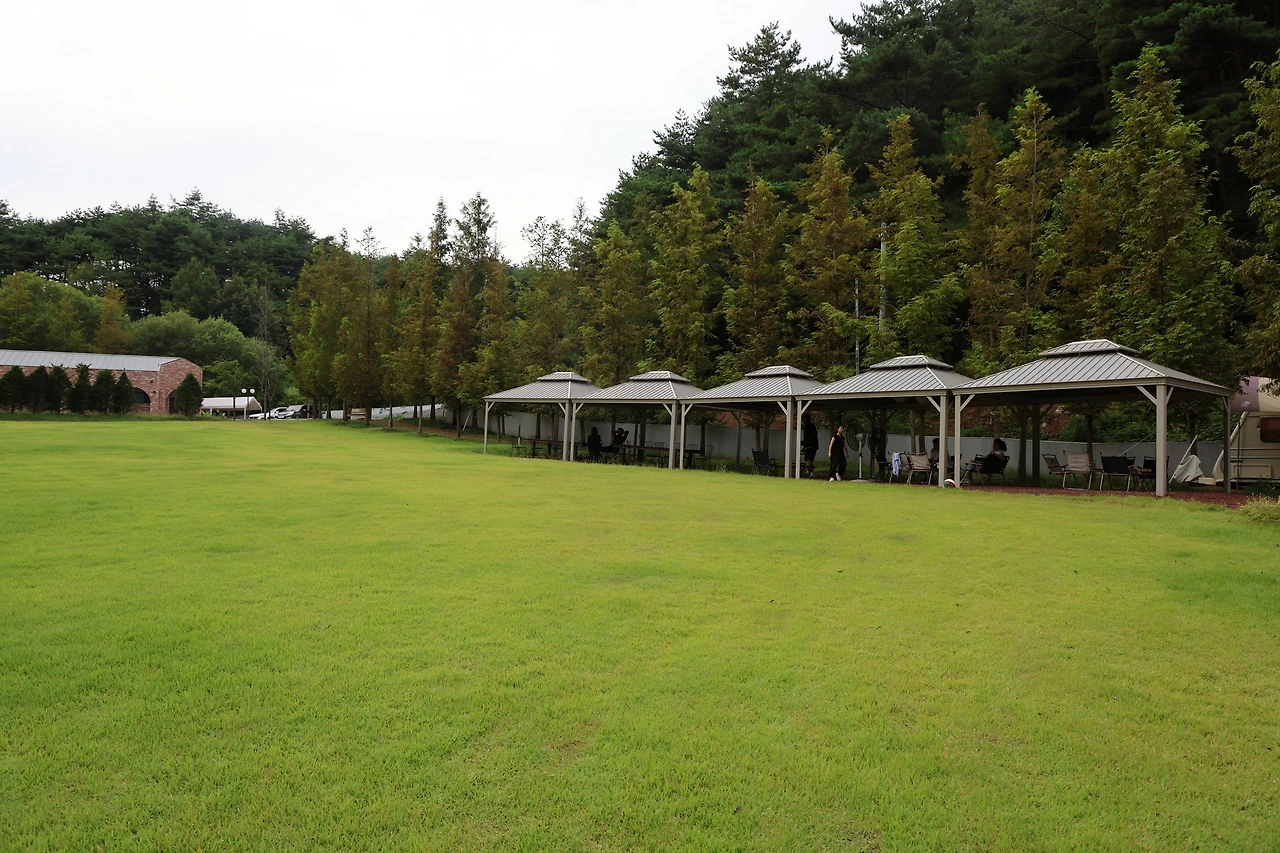 0R5A6185_новый размер.JPG