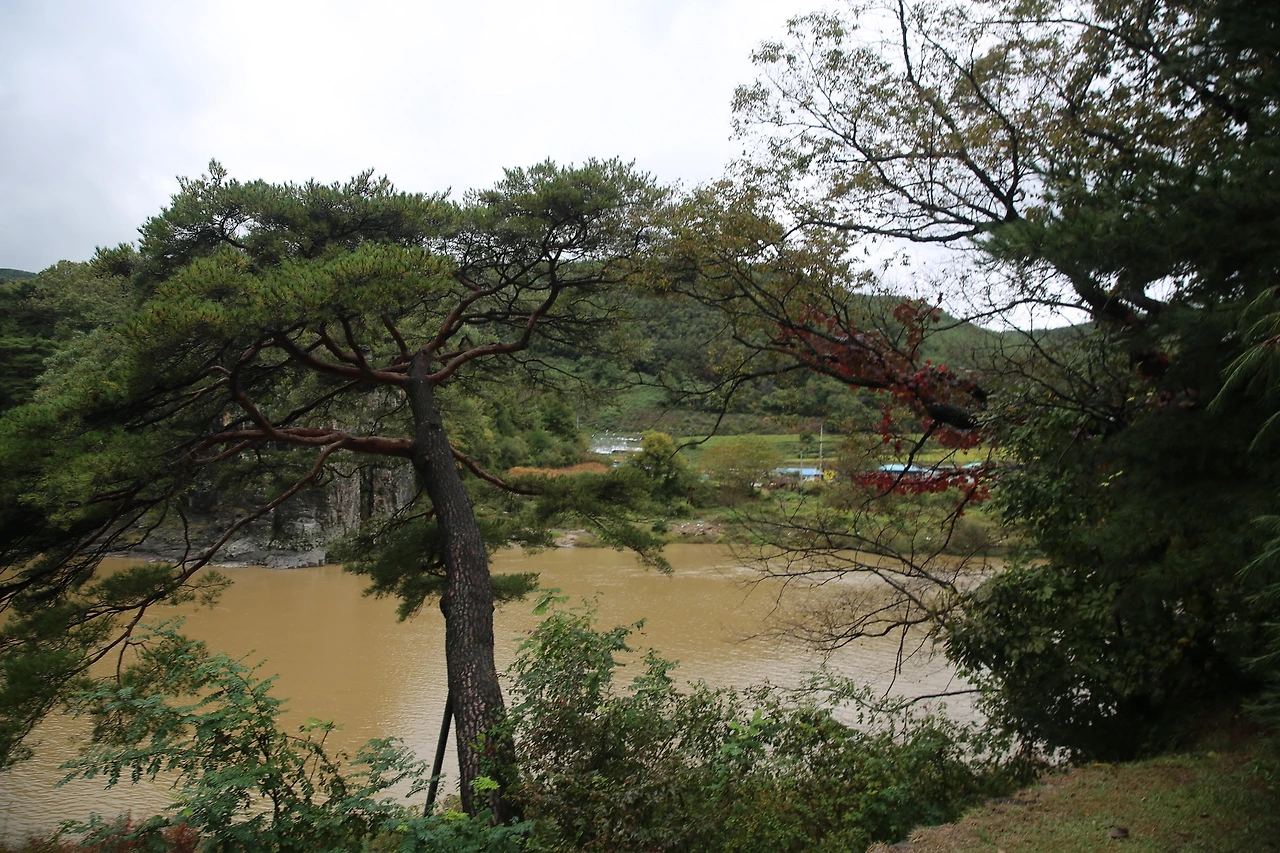 MG0A5852_новый размер.JPG