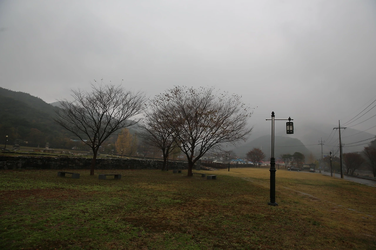 MG0A0900_новый размер.JPG