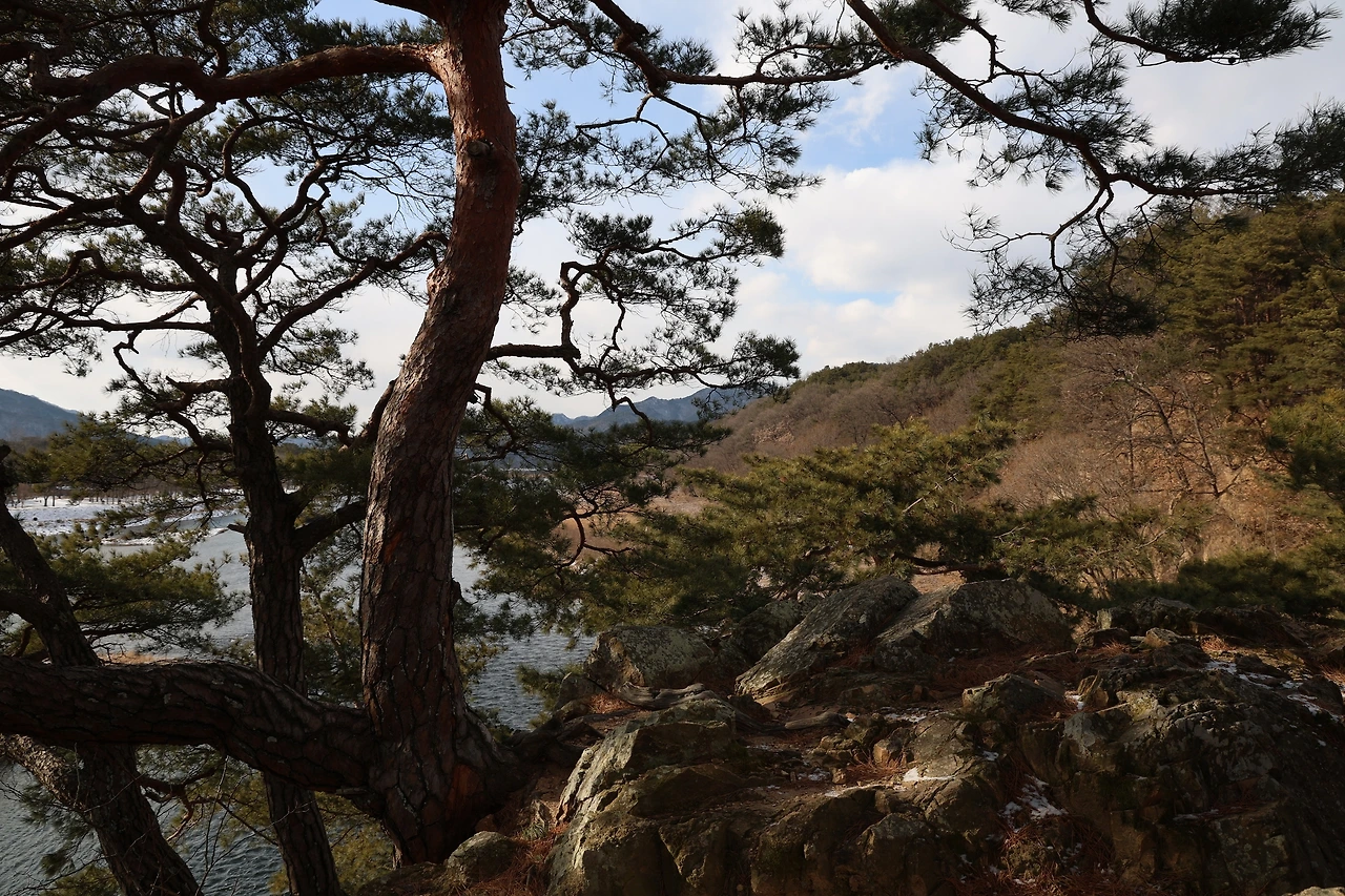 0R5A7938_новый размер.JPG