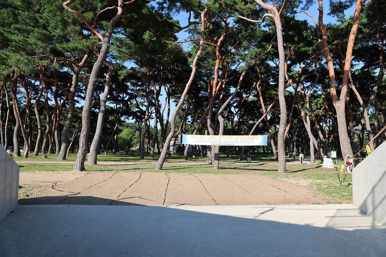 0R5A8089_новый размер.JPG