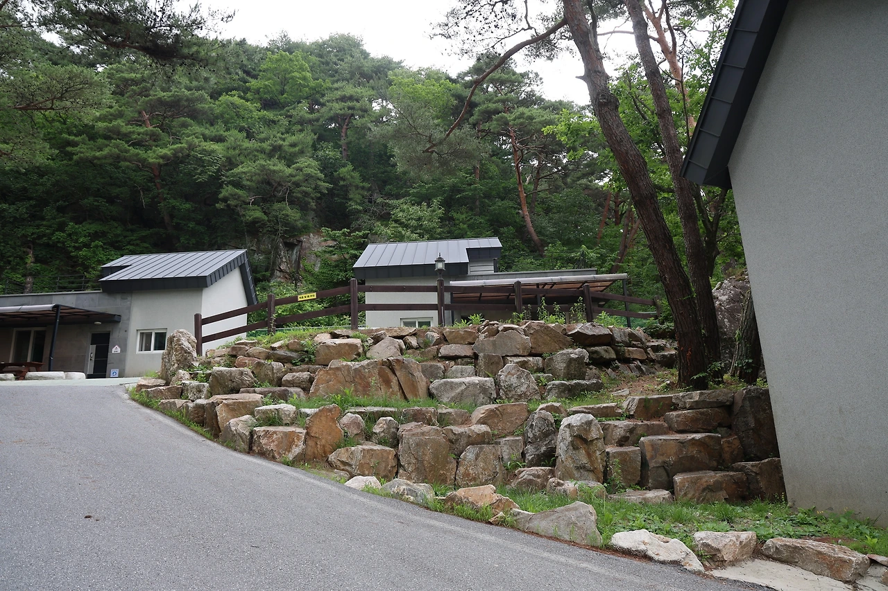 0R5A7421_новый размер.JPG